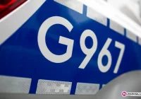 Awantura w restauracji zakończona mandatami - zdjęcie główne