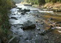 Radni sprzeciwiają się rozszerzeniu strefy ochronnej - zdjęcie główne