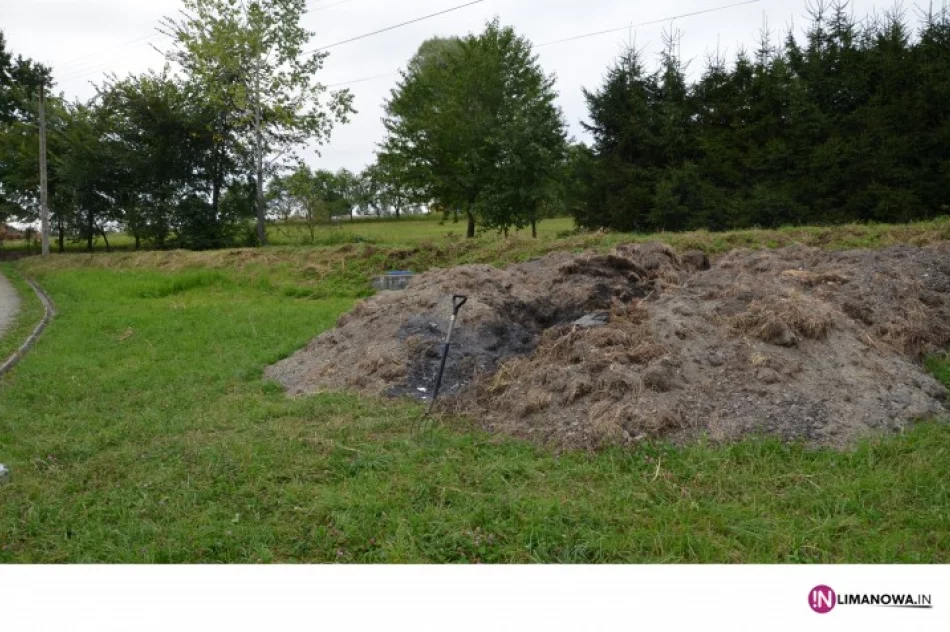 11-latek ranny od wystrzelonego pojemnika - zdjęcie 2