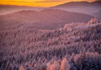 Tygodniowa prognoza pogody IMiGW - zdjęcie główne