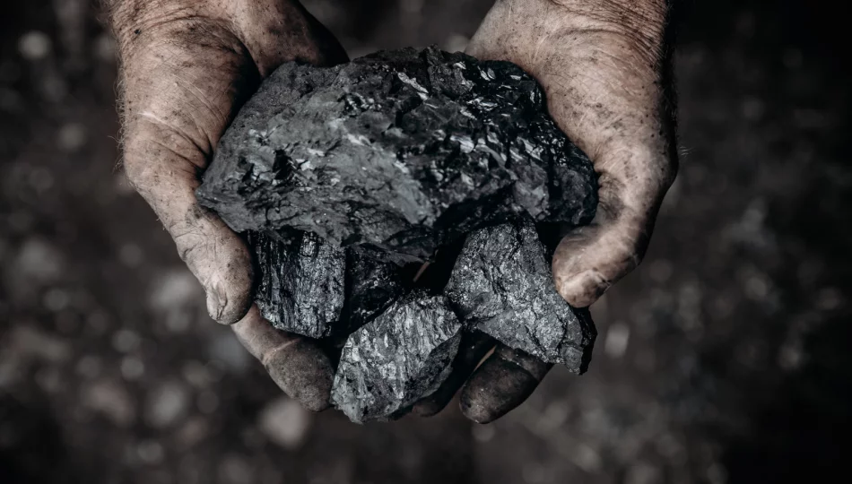 Normy jakościowe sprzedawanego węgla zawieszone - zdjęcie 1