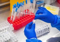 Najwyższa liczba zgonów w powiecie od początku pandemii - zdjęcie główne