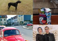 Przed nami 30. Finał WOŚP - przedstawiamy program wydarzenia! - zdjęcie główne