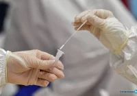 Bezpłatny test na COVID-19 w aptece - tylko w jednej w powiecie - zdjęcie główne