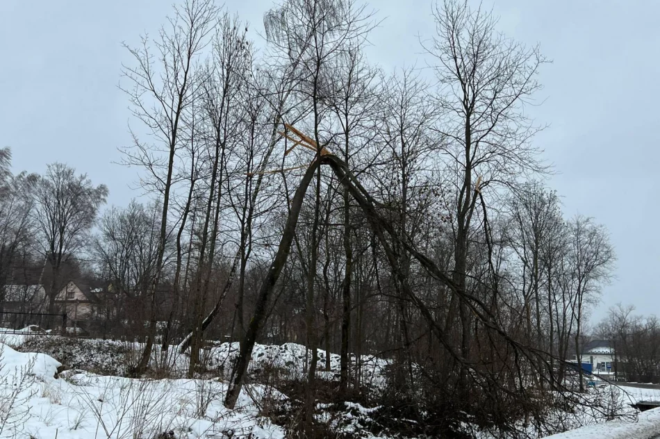 Silny wiatr w regionie - uszkodzony dach, interweniowali strażacy - zdjęcie 2