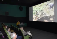 „Wyspy Szczęśliwe” w Miejskiej Galerii Sztuki - zdjęcie główne