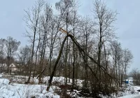 Niebezpieczna pogoda w ostatni weekend stycznia - zdjęcie główne