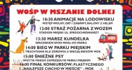 Największy na Limanowszczyźnie sztab zaprasza na finał - zdjęcie 2