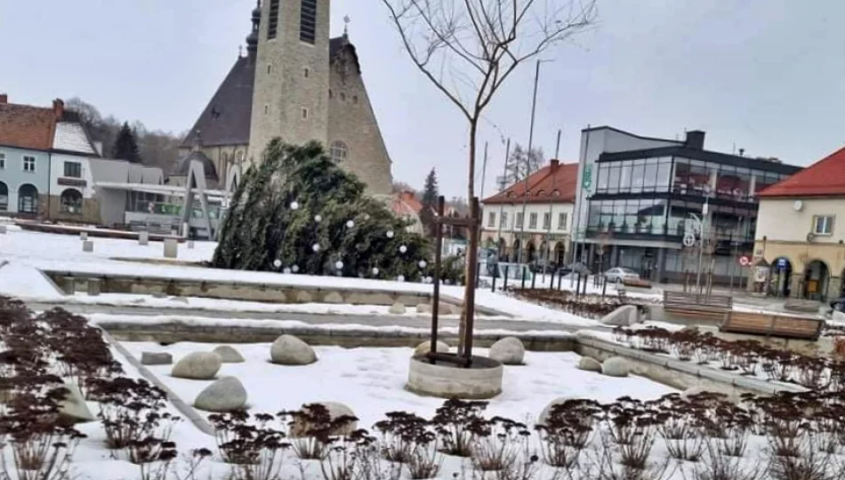 Wiatr znów przewrócił choinkę - zdjęcie 1