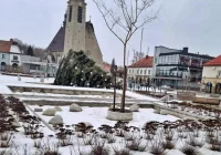 Wiatr znów przewrócił choinkę - zdjęcie główne