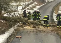 Interwencje straży w związku z wichurami - zdjęcie główne