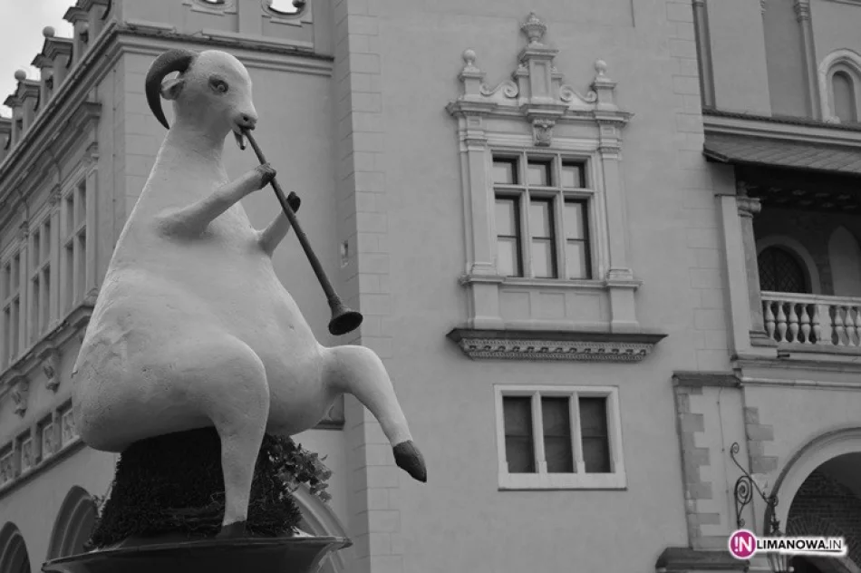 17-latka nagrodzona w konkursie Empik-foto - zdjęcie 3