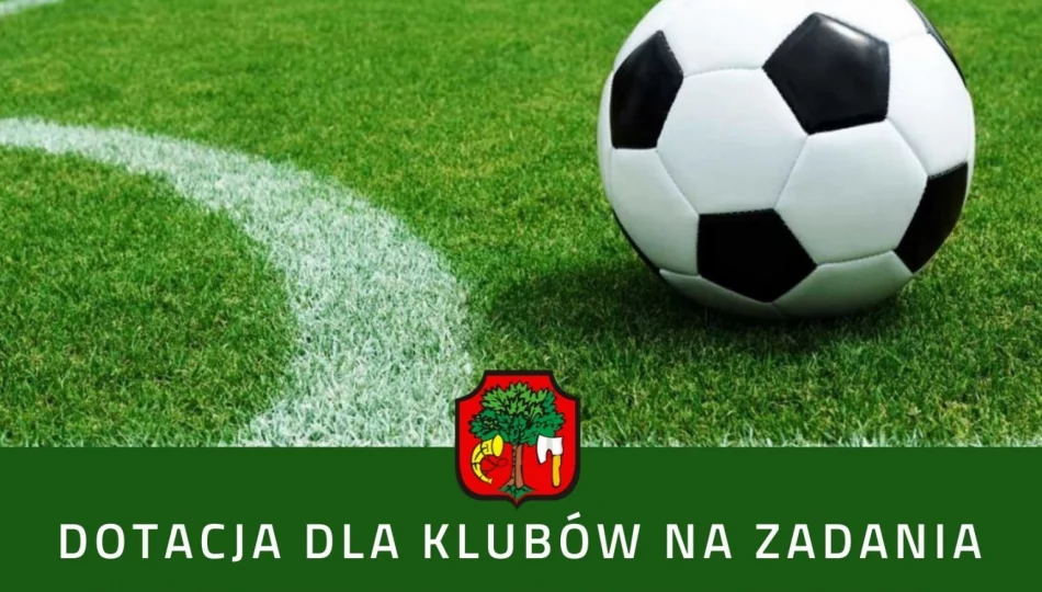 Dotacja dla klubów na działania w zakresie rozwoju sportu w 2022 roku - zdjęcie 1