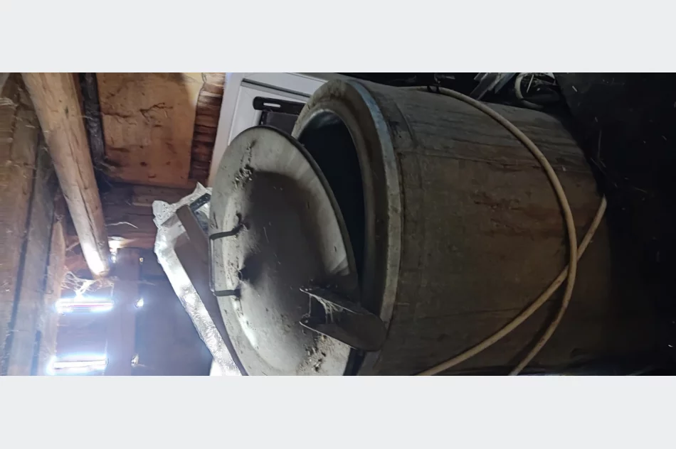 Sprzedam parnik elektryczny - zdjęcie 1