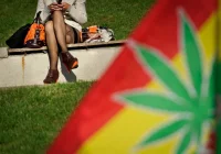 Lewica chce legalizacji marihuany - zdjęcie główne