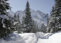 Morskie Oko - droga zamknięta do odwołania - zdjęcie główne