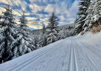 Prognoza pogody na weekend - lokalne możliwe burze - zdjęcie główne