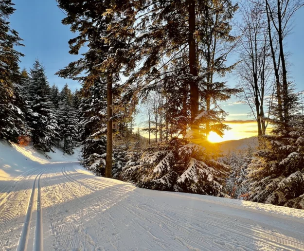 Mogielica czeka. Ponad 20 km tras dla biegaczy, warunki są „bardzo dobre” - zdjęcie główne