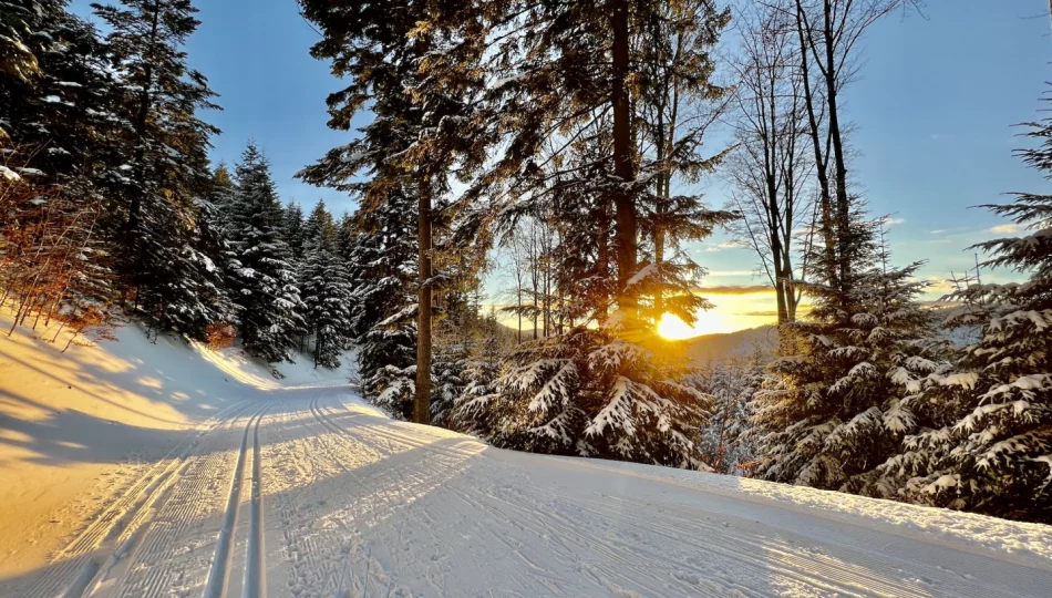 Mogielica czeka. Ponad 20 km tras dla biegaczy, warunki są „bardzo dobre” - zdjęcie 1