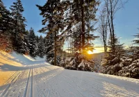 "Prawdziwe" zimy będą występować coraz rzadziej - zdjęcie główne