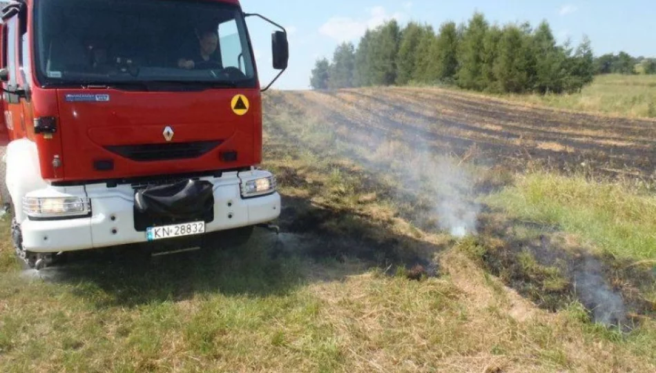 Gasili pożary zbóż i ściernisk - zdjęcie 1