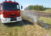 Gasili pożary zbóż i ściernisk - zdjęcie główne
