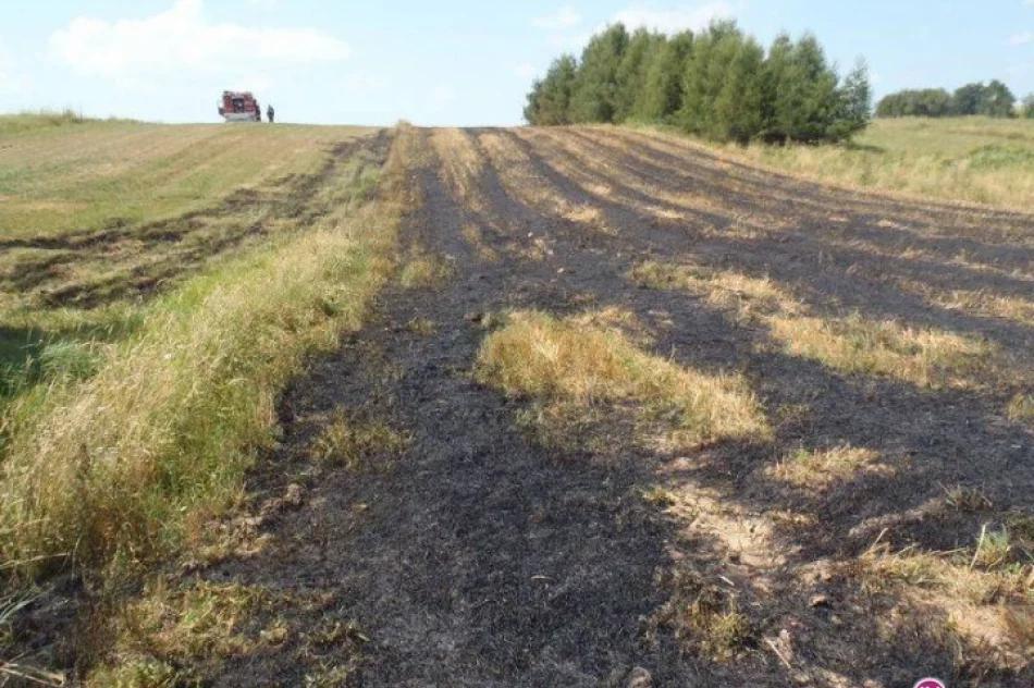 Gasili pożary zbóż i ściernisk - zdjęcie 2
