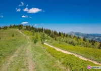 Patrole przeciwpożarowe w lasach - zdjęcie główne