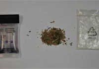 Na Limanowszczyźnie zatrzymano 5 mężczyzn za narkotyki - zdjęcie główne