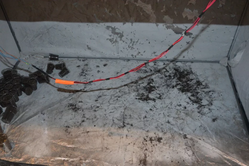 Na Limanowszczyźnie zatrzymano 5 mężczyzn za narkotyki - zdjęcie 2