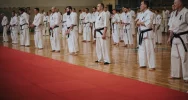 Ponad 120 karateków doskonaliło swoje umiejętności w Limanowej - zdjęcie 4