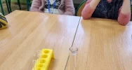 Zespół Szkolno-Przedszkolny nr 1 w Limanowej realizuje program „Piątka dla Natury” - zdjęcie 2