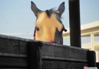 Dzień pijanych woźniców - zdjęcie główne