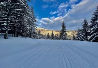 Gdzie na narty? Odwilż nie popsuła warunków - zdjęcie główne