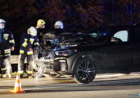 Dzikie zwierzęta na drogach - policja ostrzega - zdjęcie główne