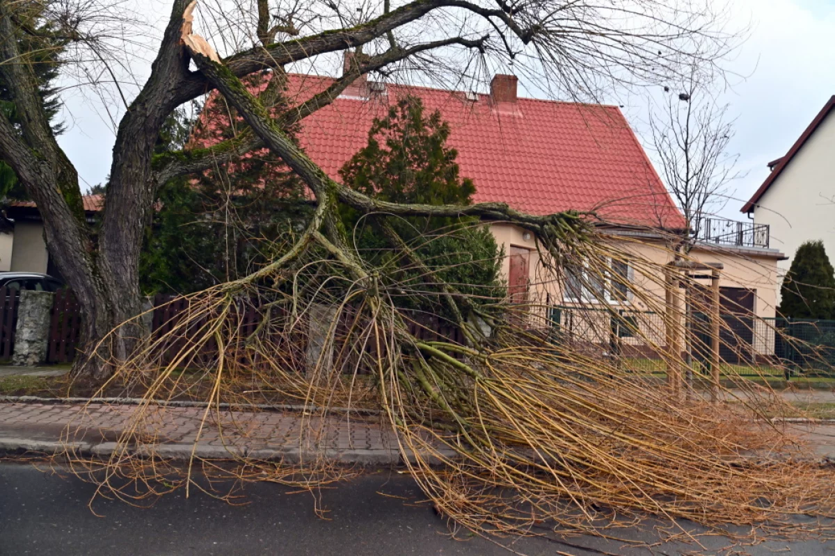 IMGW: nadciąga niż Dudley