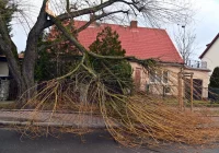 IMGW: nadciąga niż Dudley - zdjęcie główne