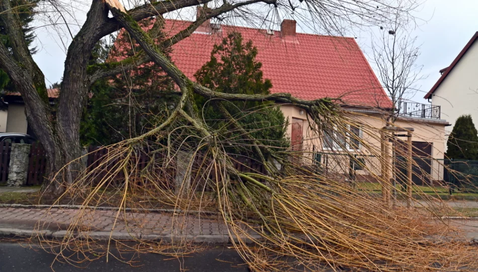 IMGW: nadciąga niż Dudley - zdjęcie 1