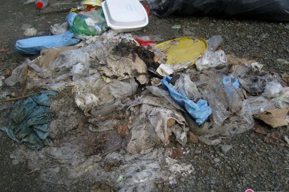 Kolejne 'dzikie' wysypisko śmieci - zdjęcie 2