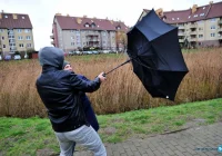 W porywach nawet 100 km/h - drugi stopień ostrzeżenia przed silnym wiatrem - zdjęcie główne