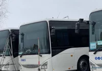 Radny: puste autobusy "drażnią mieszkańców" - zdjęcie główne