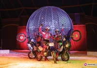 Przyjeżdża Cyrk Zalewski - zdjęcie główne