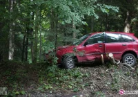 Kolizja i kraksa o drzewo - zdjęcie główne