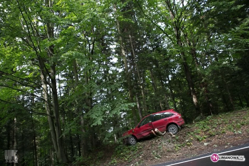Kolizja i kraksa o drzewo - zdjęcie 2