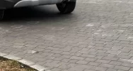 Napad na lombard: nagroda za wskazanie sprawców - zdjęcie 5