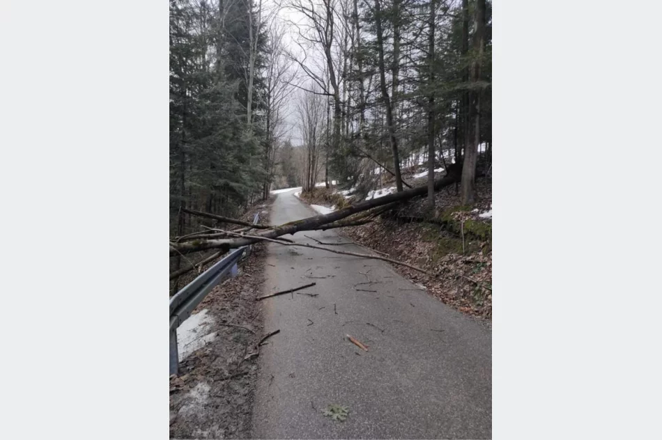 Wichury w powiecie: łącznie 78 zdarzeń, uszkodzonych 27 budynków - zdjęcie 4
