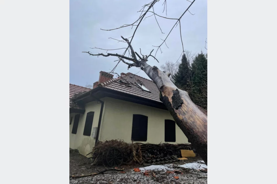 Wichury w powiecie: łącznie 78 zdarzeń, uszkodzonych 27 budynków - zdjęcie 8