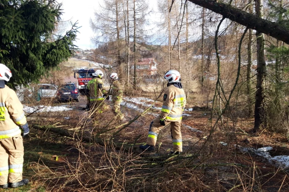 Wichury w powiecie: łącznie 78 zdarzeń, uszkodzonych 27 budynków - zdjęcie 10
