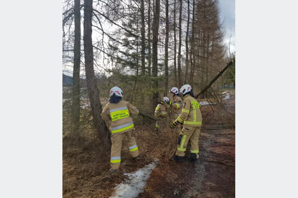 Wichury w powiecie: łącznie 78 zdarzeń, uszkodzonych 27 budynków - zdjęcie 11