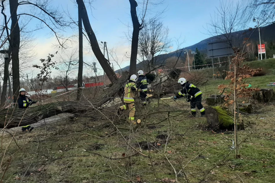 Wichury w powiecie: łącznie 78 zdarzeń, uszkodzonych 27 budynków - zdjęcie 14
